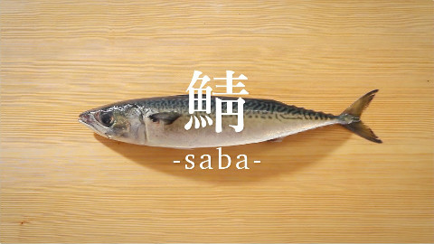 【鱼的处理方法】鲭鱼的处理方法